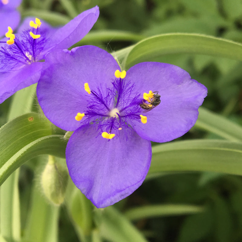 Test 2
